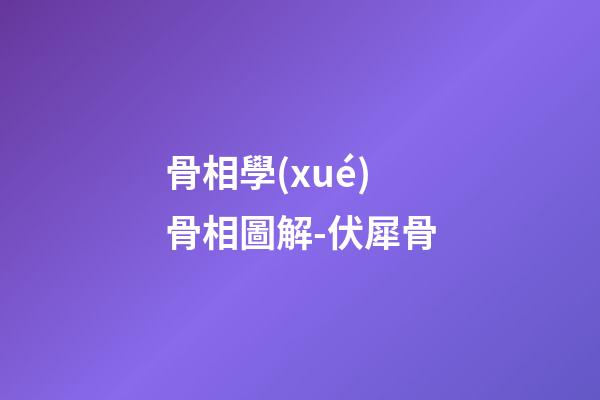 骨相學(xué)骨相圖解-伏犀骨