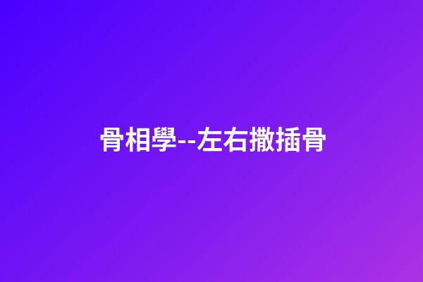骨相學--左右撒插骨