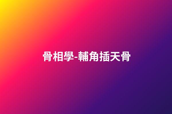 骨相學-輔角插天骨