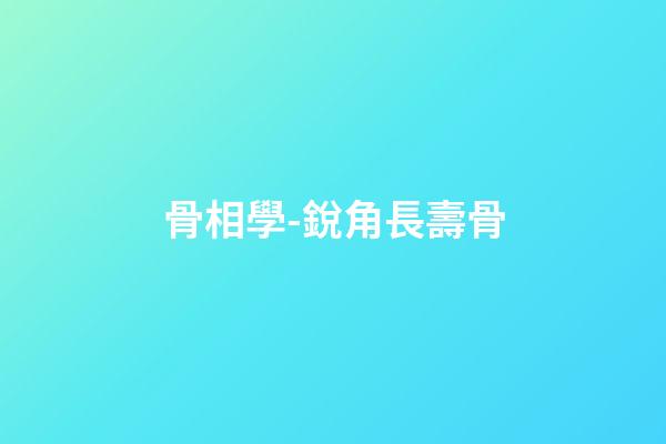 骨相學-銳角長壽骨