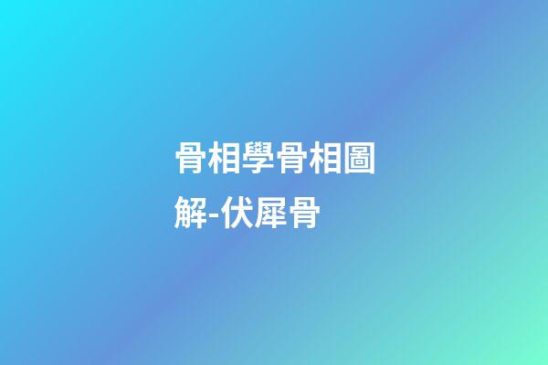 骨相學骨相圖解-伏犀骨