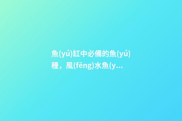 魚(yú)缸中必備的魚(yú)種，風(fēng)水魚(yú)清道夫算嗎