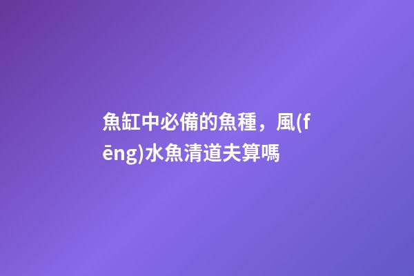 魚缸中必備的魚種，風(fēng)水魚清道夫算嗎
