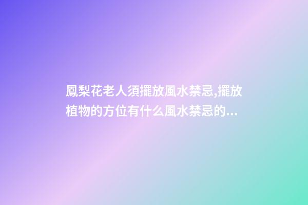 鳳梨花老人須擺放風水禁忌,擺放植物的方位有什么風水禁忌的呢