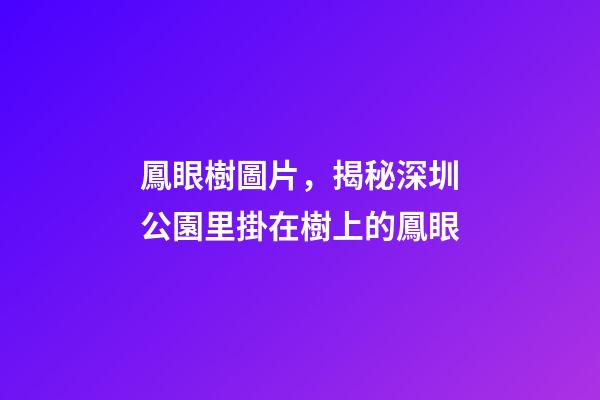 鳳眼樹圖片，揭秘深圳公園里掛在樹上的鳳眼-第1張-觀點-玄機派