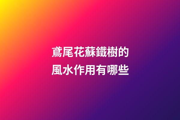 鳶尾花蘇鐵樹的風水作用有哪些?