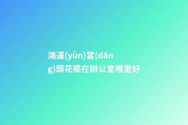 鴻運(yùn)當(dāng)頭花擺在辦公室哪里好
