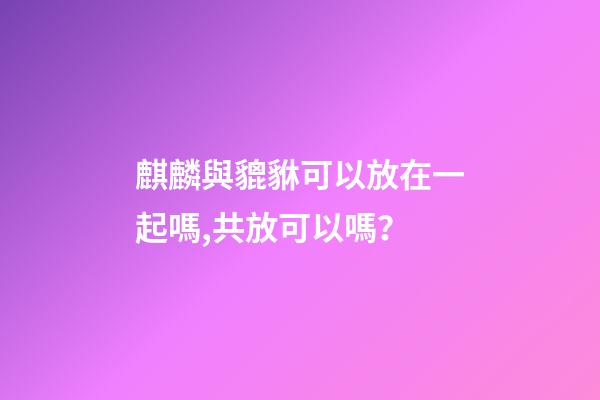 麒麟與貔貅可以放在一起嗎,共放可以嗎？