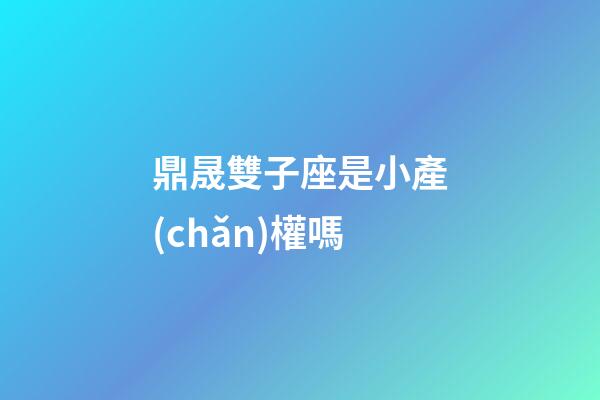 鼎晟雙子座是小產(chǎn)權嗎