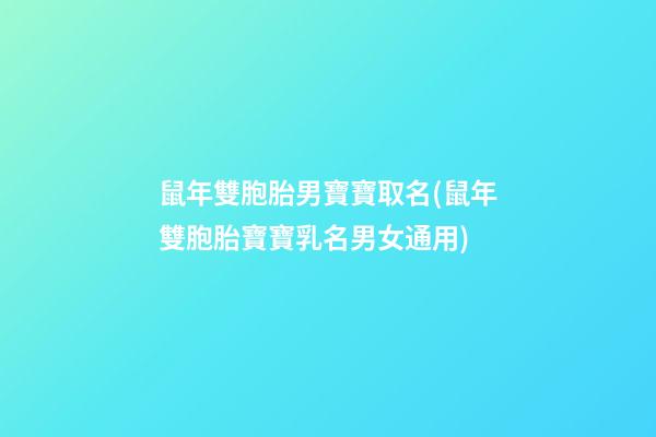 鼠年雙胞胎男寶寶取名(鼠年雙胞胎寶寶乳名男女通用)