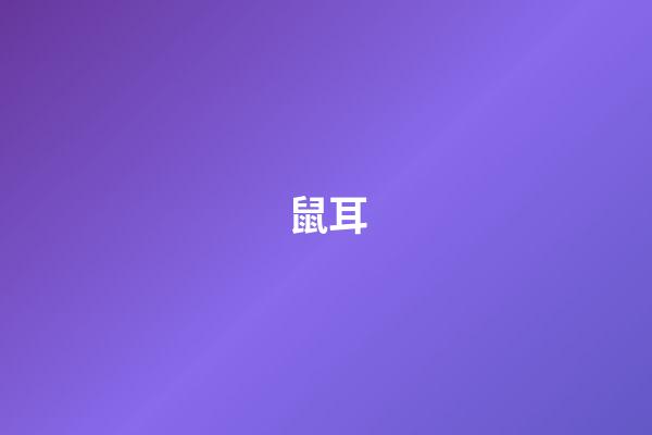 鼠耳