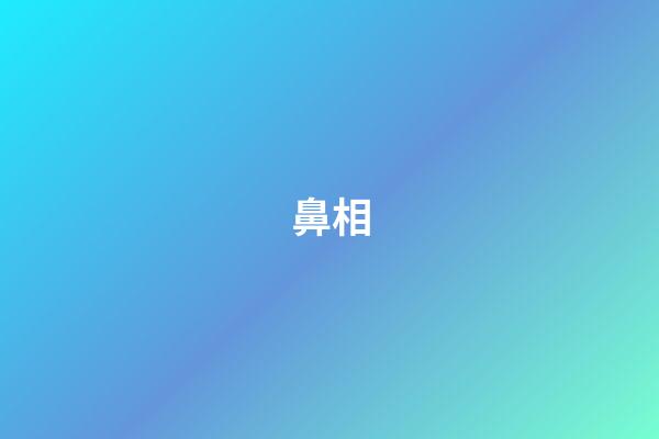 鼻相