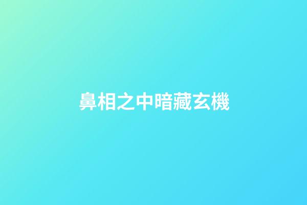 鼻相之中暗藏玄機