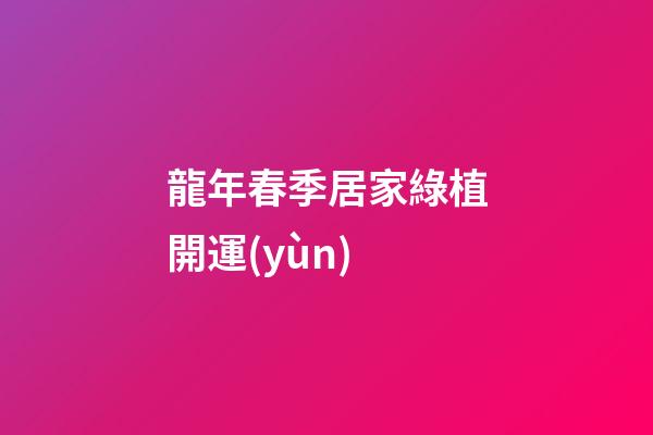 龍年春季居家綠植開運(yùn)