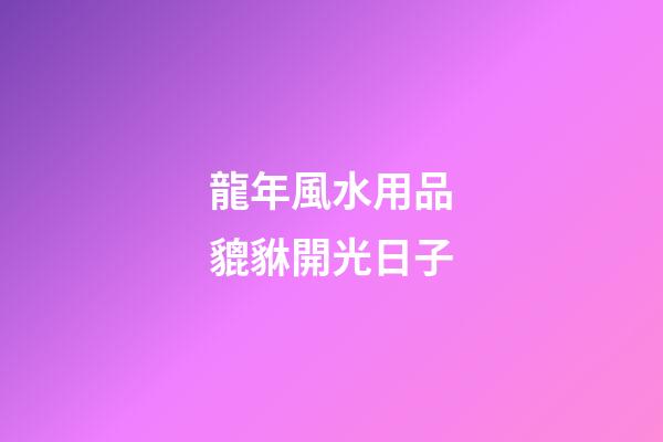 龍年風水用品貔貅開光日子