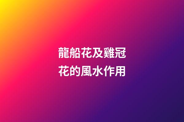 龍船花及雞冠花的風水作用?
