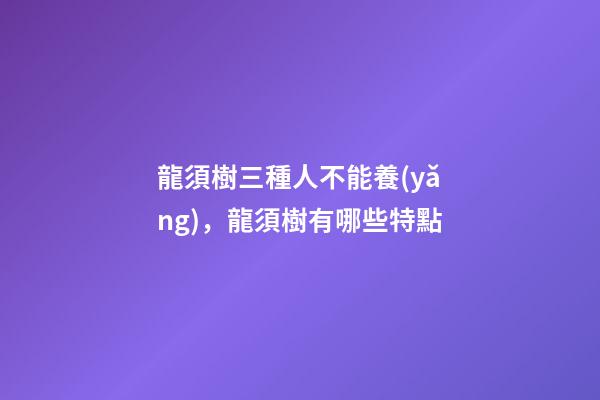 龍須樹三種人不能養(yǎng)，龍須樹有哪些特點