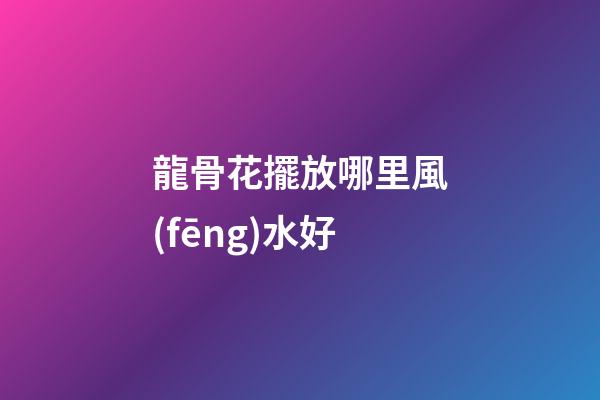 龍骨花擺放哪里風(fēng)水好