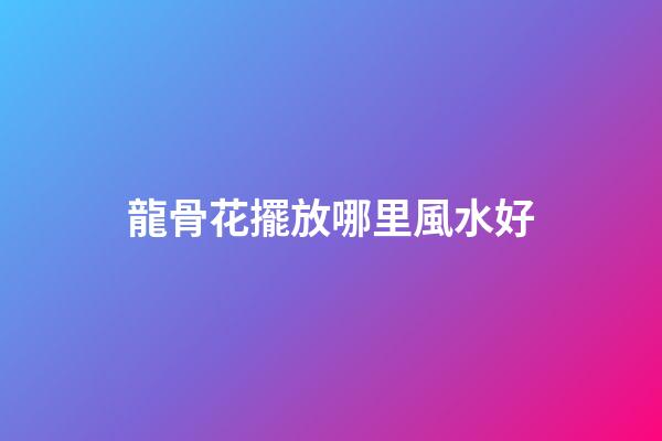 龍骨花擺放哪里風水好