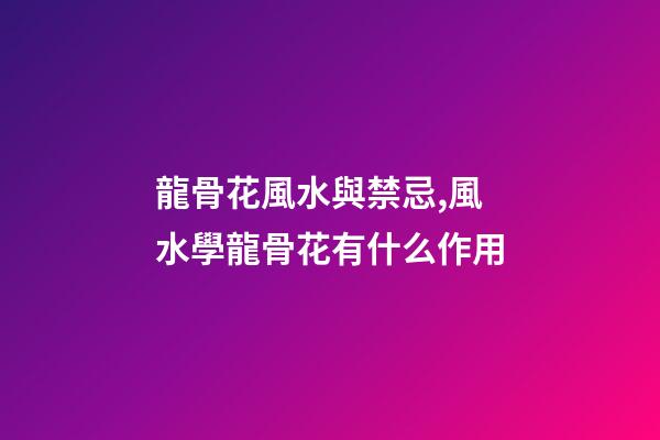 龍骨花風水與禁忌,風水學龍骨花有什么作用