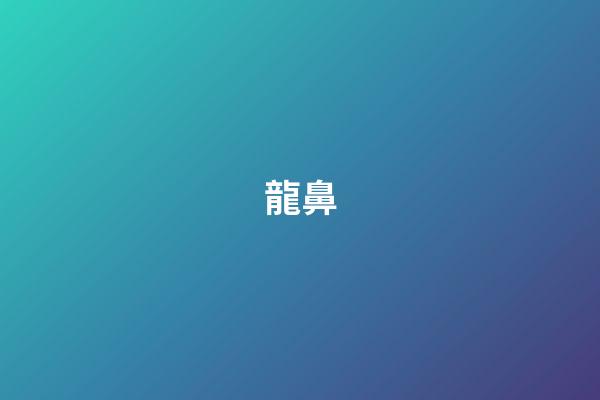 龍鼻