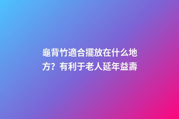 龜背竹適合擺放在什么地方？有利于老人延年益壽